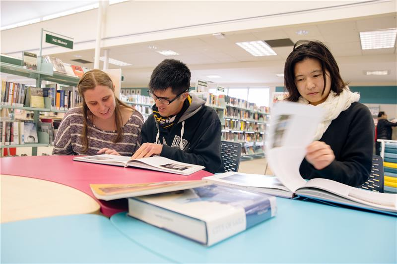 Educational local election resources